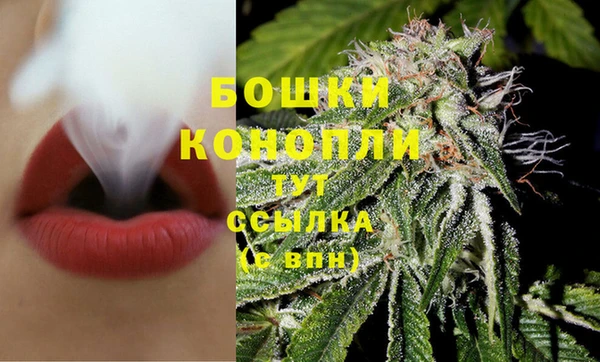 дурь Богородицк