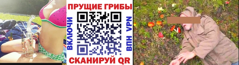 Псилоцибиновые грибы Psilocybe Макаров