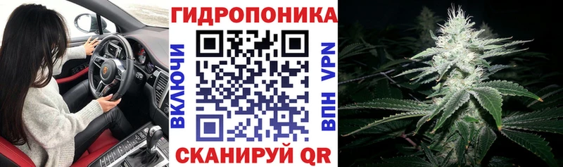 Шишки марихуана сатива Макаров